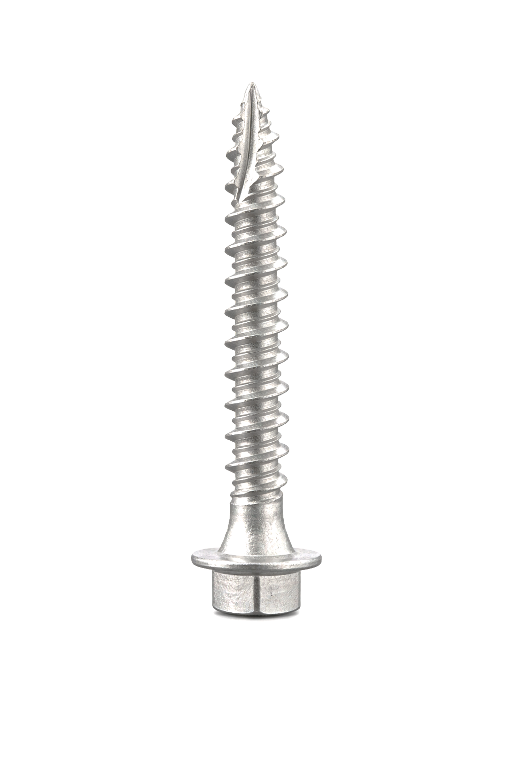 Ruspert Gutter Screw
