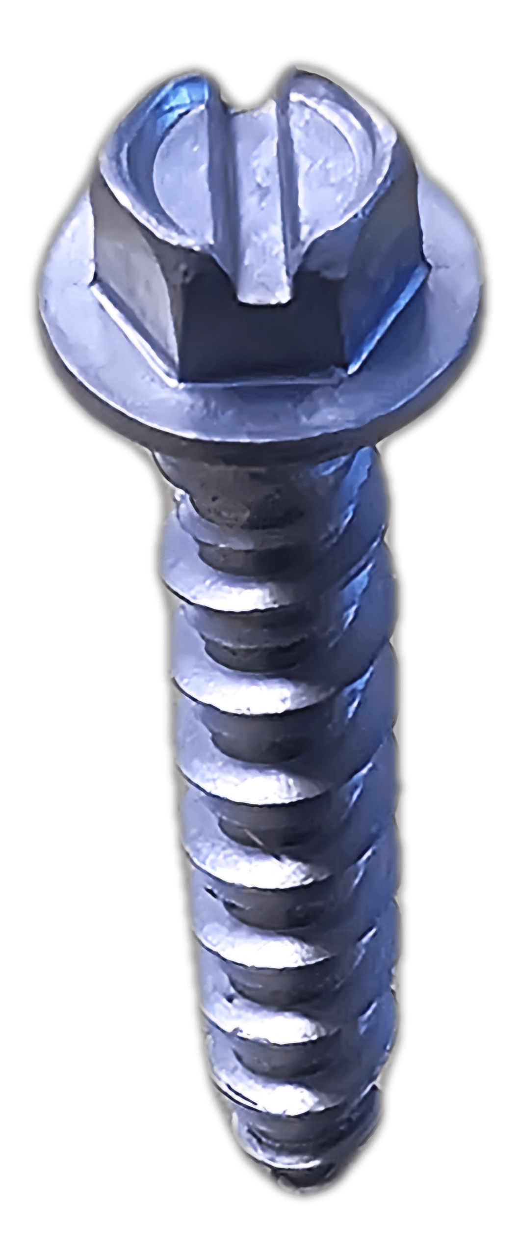 Stainless Steel Gutter Screws